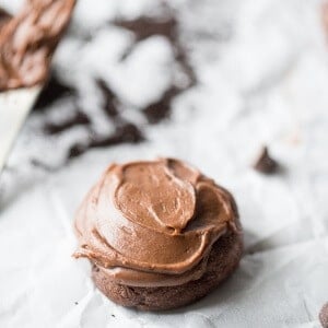 Coffee cookies that are rich and chocolaty and made with the best mocha frosting ever! lemonsforlulu.com