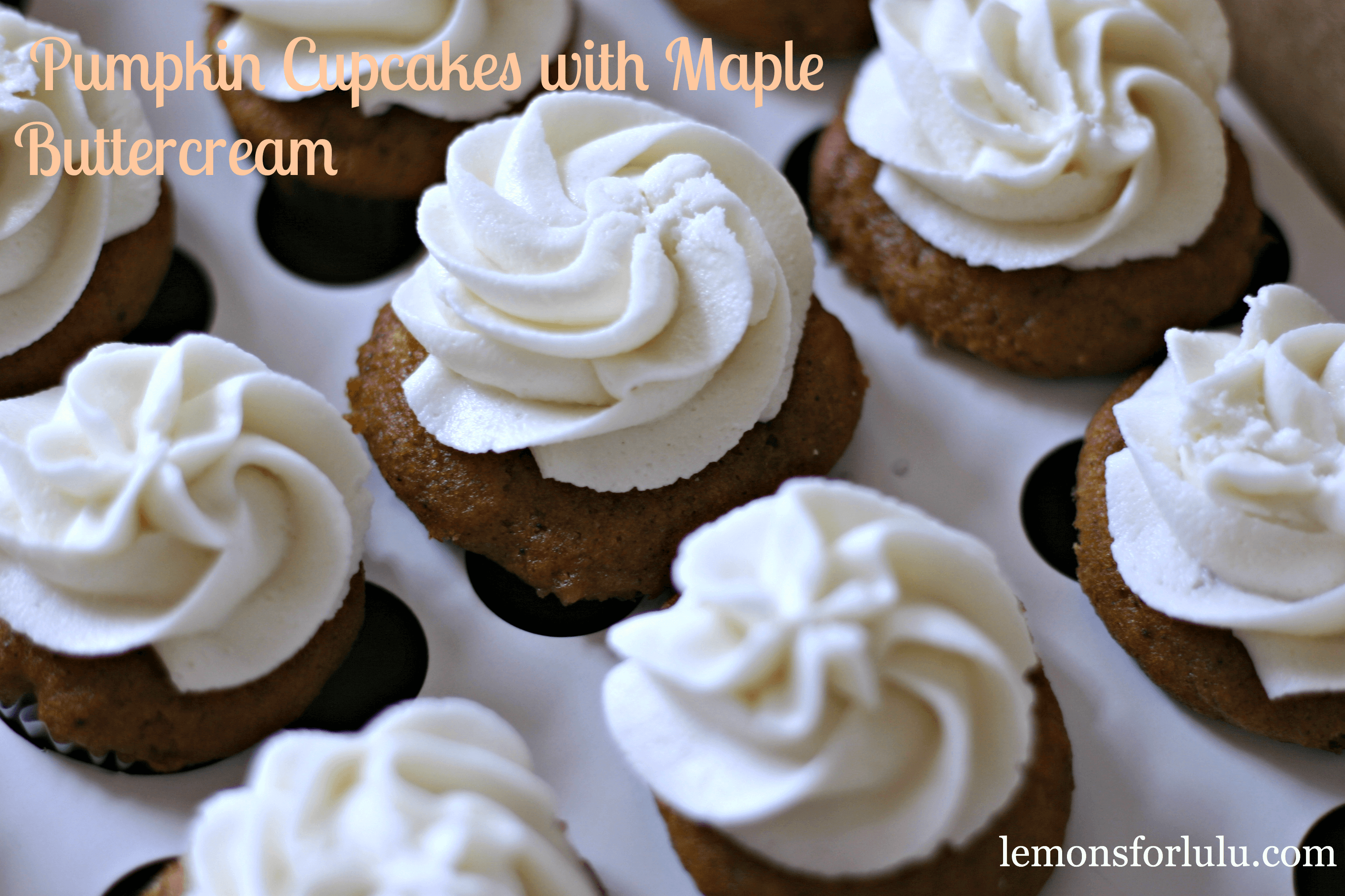 Pumpkin Cupcakes with Maple Buttercream