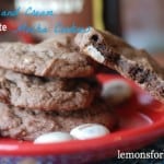 Kahlua and Cream Chocolate Cookies