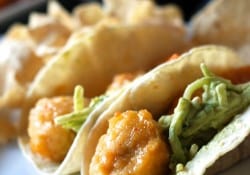 Tyson's Mango Habanero Boneless Any'tizer Chicken Wyngz makes the best chicken tacos!