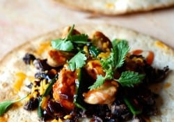 Turkey Tostadas
