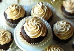 Chocolate cupcakes filled and frosted with the best peanut butter frosting! www.lemonsforlulu.com
