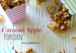 Salty sweet caramel corn mixed with apple chips! www.lemonsforlulu.com