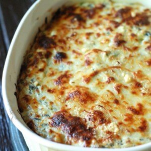 Tex Mex Spinach and Artichoke Dip has a bit of a kick with poblano peppers and jalapeño that have been roasted! Creamy, cheesy and full of flavor! www.lemonsforlulu.com