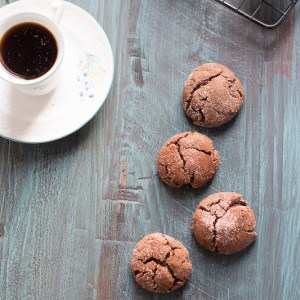 A kicked up chocolate version of the classic snickerdoodle cookie! www.lemonsforlulu.com
