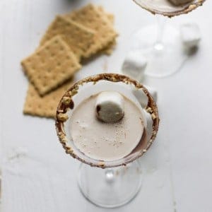 This S’Mores Martini is made with adult chocolate milk and marshmallow vodka! It is absolutely delicious! www.lemonsforlulu.com