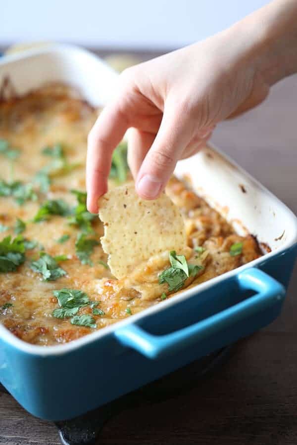 Jamaican Jerk Chicken Dip