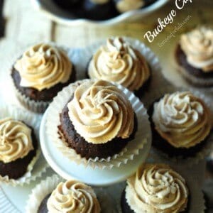 Chocolate cupcakes filled and frosted with the best peanut butter frosting! www.lemonsforlulu.com