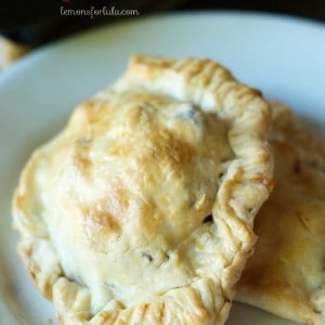 A savory hand pie filled with ground beef, veggies and Greek seasoning