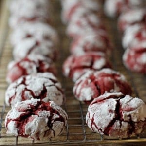 Sweet little red velvet crinkle cookies filled with mini chocolate chips! Just in time for the holidays and your Christmas cookie platter! | www.lemonsforlulu.com