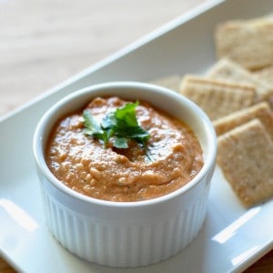 Easy dip made with eggplant, tomatoes and Greek Yogurt! www.lemonsforlulu.com