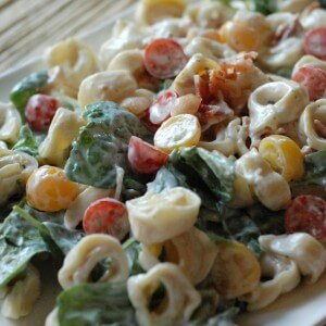 BLT tortellini salad comes together so easily! It’s made with a simple Greek yogurt dressing and has lots of fresh tomatoes! www.lemonsforlulu.com