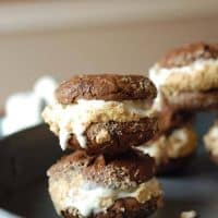 Easy Ice cream sandwiches with chocolate cookies marshmallow ice cream on a plate.