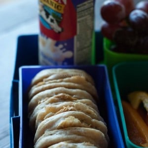 Cinnamon and fresh apple chuncks are packed into this simple pancake recipe! Mini pancakes are perfect for breakfast or for lunch! www.lemonsforlulu.com