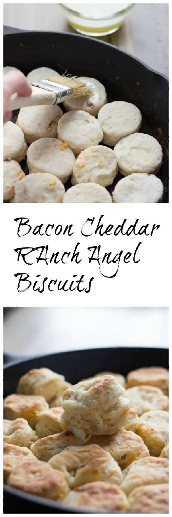 bacon cheddar ranch angel biscuits