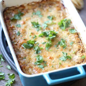 This Jamaican jerk chicken dip is tangy, creamy and all together delicious! It’s everything you could want in a dip! lemonsforlulu.com