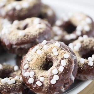 A chocolate donut that is soft and rich with two kinds of glaze! Graham cracker crumbs and mini marshmallows make this complete! lemonsforlulu.com