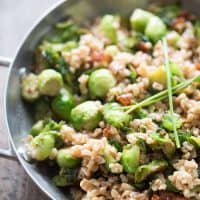 A perfect recipe for Brussels sprouts! This side has Brussels sprouts, bacon, farro and a honey mustard dressing! lemonsforlulu.com
