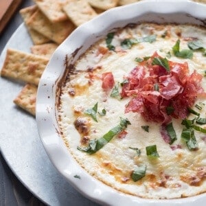 A new kind of bruschetta dip! This dip is full of hot melted cheese but tomatoes add a fresh spin while peppery soppressata add a unique to taste! lemonsforlulu.com