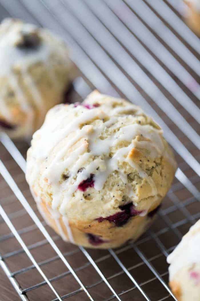 blueberry muffins with poppyseeds