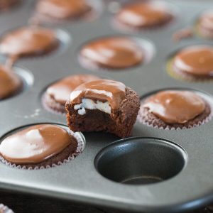 A fudge brownie recipe that is a bite-sized piece of heaven! Rich brownies with mint and frosting are irresistible!