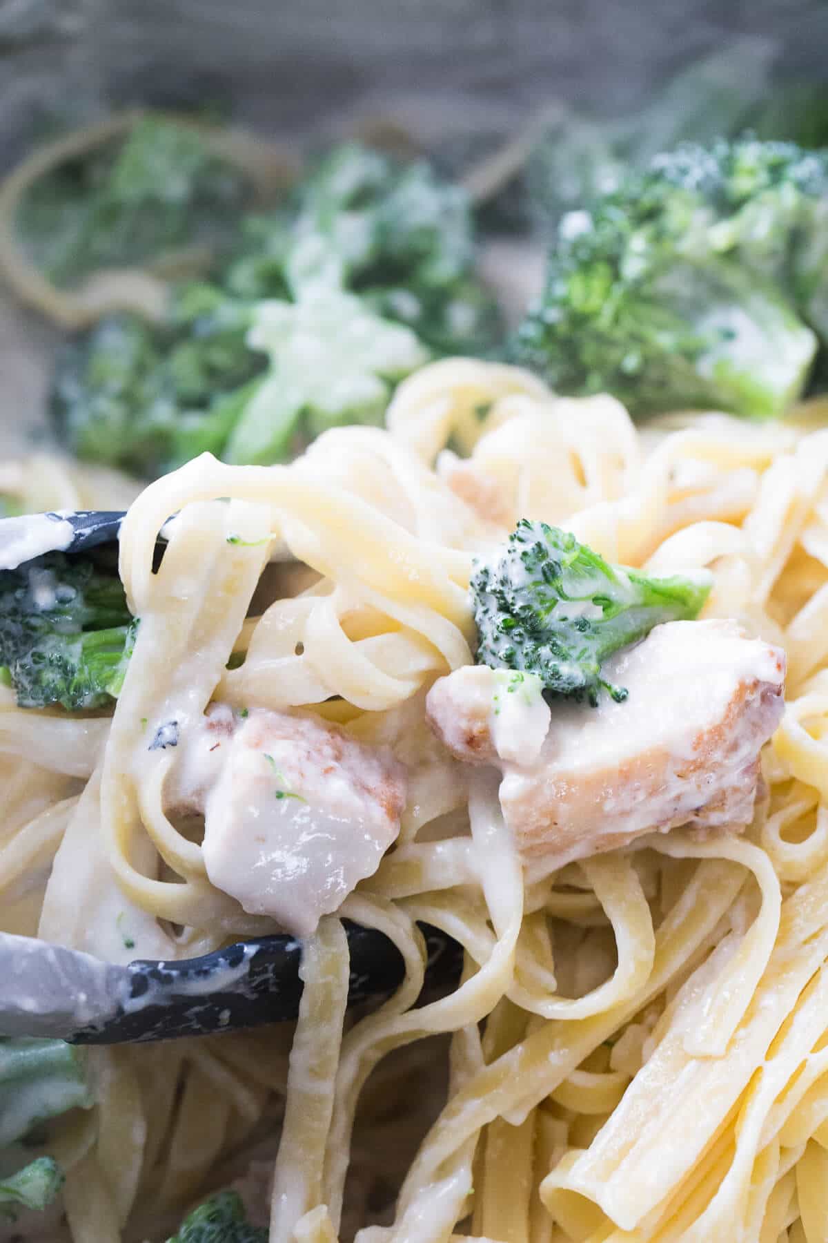 Chicken and Broccoli Alfredo | LemonsforLulu.com