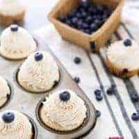 Blueberry Cupcakes One cupcake image