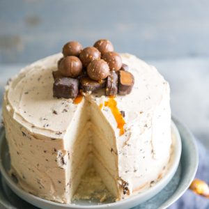 Salted Caramel Chocolate Chip Cake slice missing