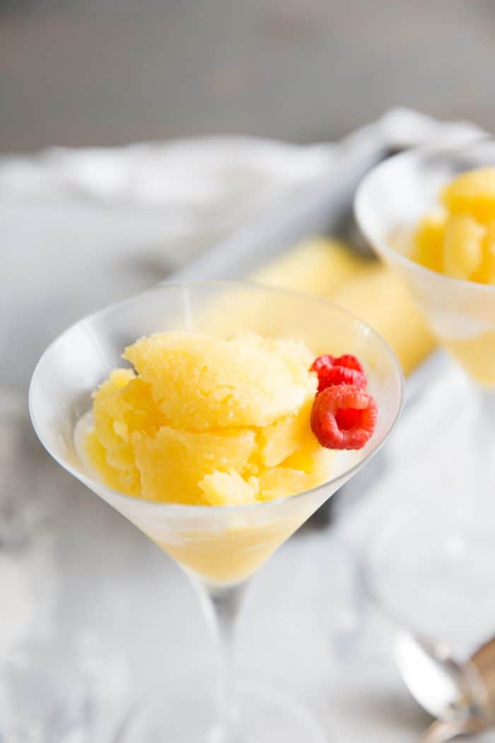 Mango Rum Punch Sorbet